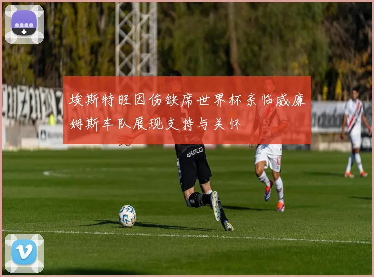 埃斯特旺因伤缺席世界杯亲临威廉姆斯车队展现支持与关怀